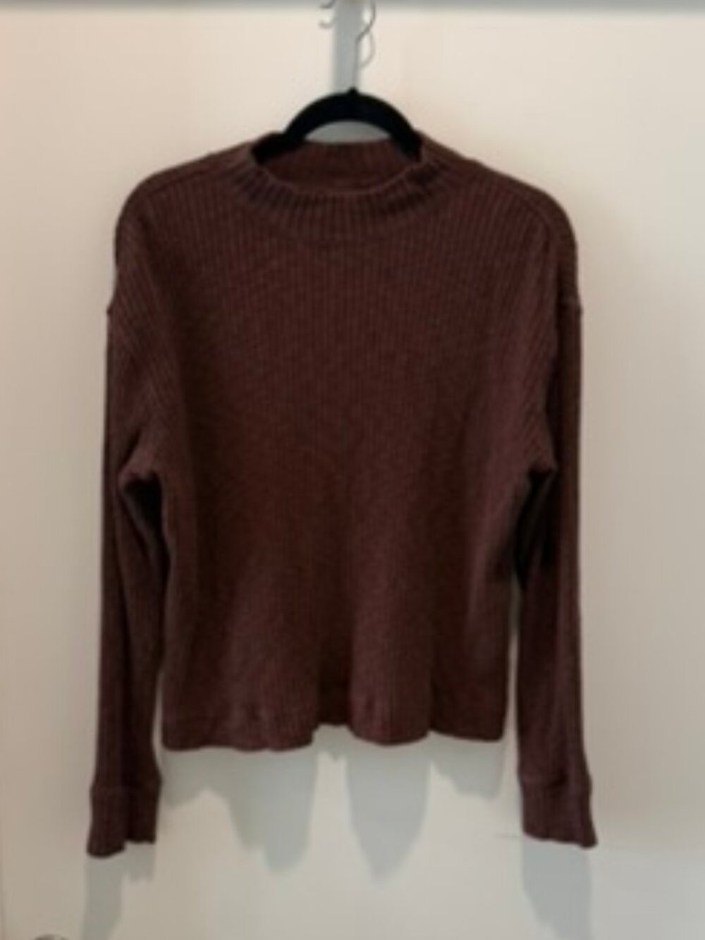 Everlane Dark Mahogany Ribbed Mock Neck Sweater Size M
